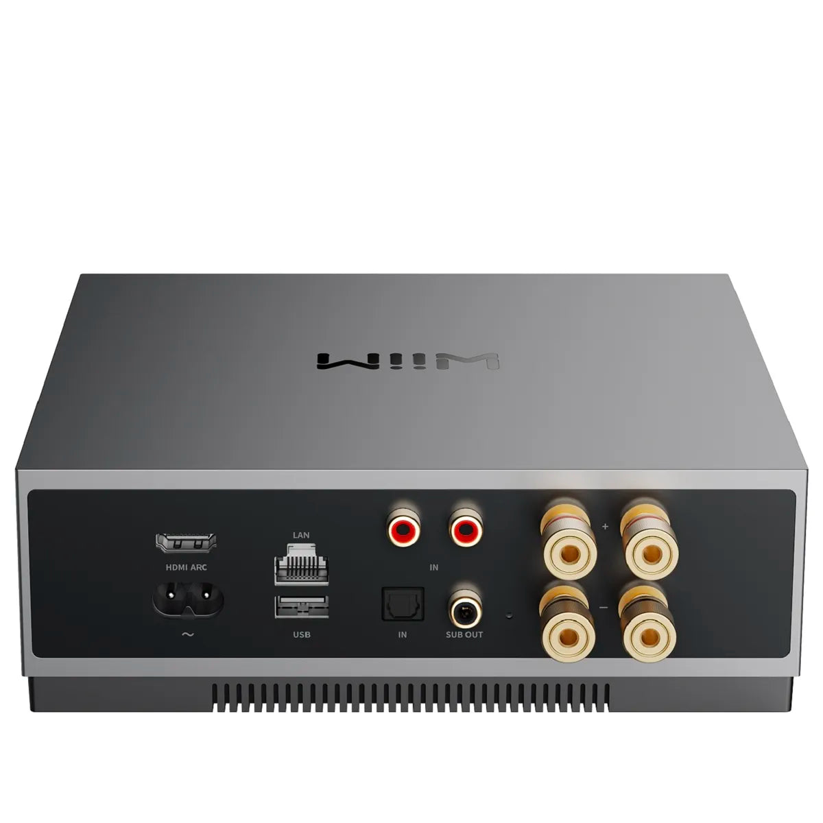 WiiM Mod A80 Amp Back